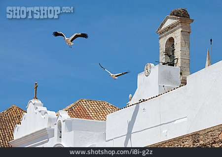 
                Storch, Portugal, Storchennest, Faro                   