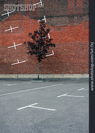 
                Baum, Parkplatz, Markierungen, Tristesse                   