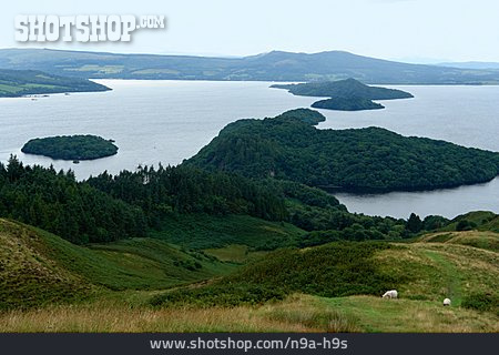 
                See, Schottland, Loch Lomond                   