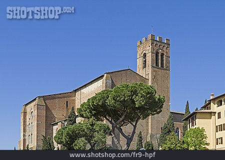 
                Kirche, Siena, San Domenico                   