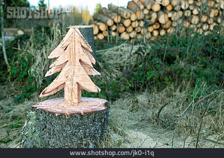 
                Holz, Forstwirtschaft, Baumstumpf                   
