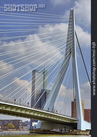 
                Brücke, Schrägseilbrücke, Rotterdam, Erasmusbrücke                   