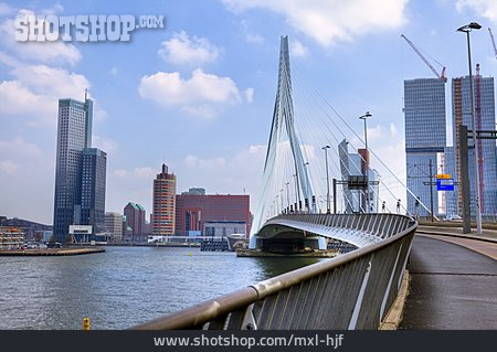 
                Rotterdam, Erasmusbrücke                   