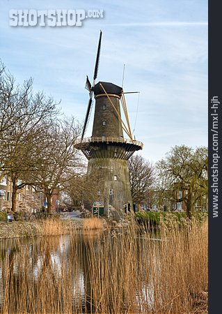 
                Windmühle, Schiedam                   