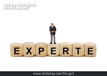 
                Experte                   