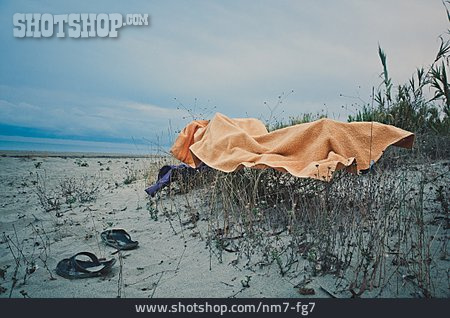 
                Sträucher, Handtuch, Strandurlaub                   
