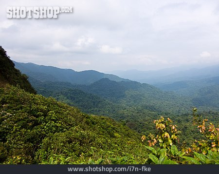 
                Regenwald, Costa Rica, Monteverde                   