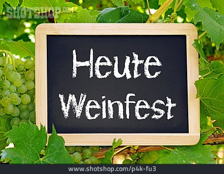 
                Weinfest                   