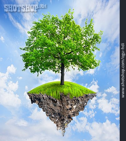 
                Baum, Wachstum, Naturschutz, ökologie                   