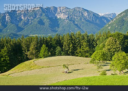 
                Berchtesgadener Land, Lattengebirge, Piding                   
