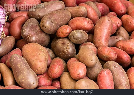 
                Kartoffel, Frühkartoffel                   