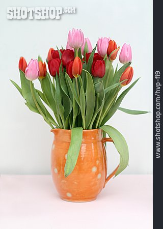 
                Tulpenstrauß, Blumenvase, Tulpen                   