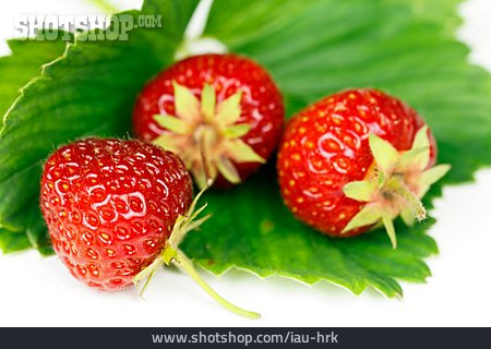 
                Erdbeere, Erdbeerblatt                   