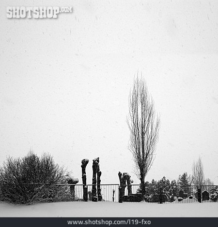 
                Winter, Friedhof, Tod                   