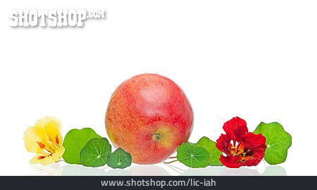 
                Apfel, Kapuzinerkresse                   
