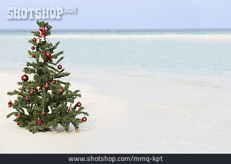 
                Strand, Weihnachten, Weihnachtsbaum                   