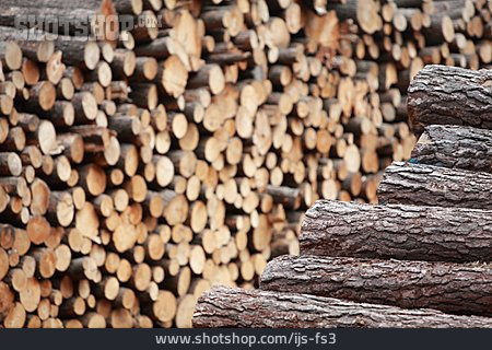 
                Holz, Holzstapel                   