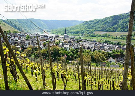 
                Weinanbaugebiet, Enkirch                   