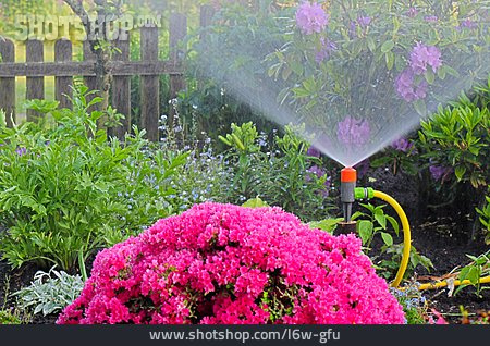 
                Garten, Bewässerung, Sprinkler                   
