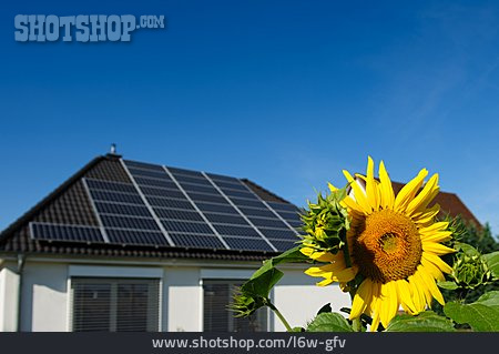 
                Erneuerbare Energie, Stromerzeugung, Solarstrom                   