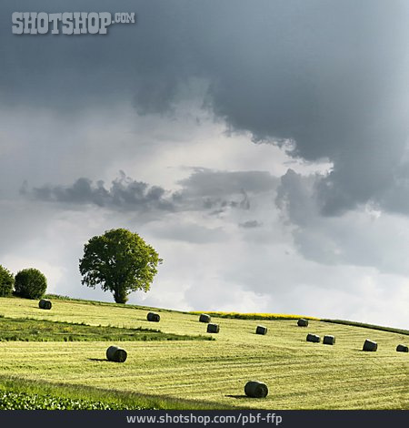
                Landschaft, Landwirtschaft                   