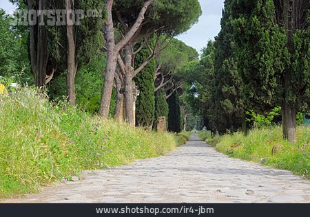
                Straße, Allee, Via Appia Antica                   