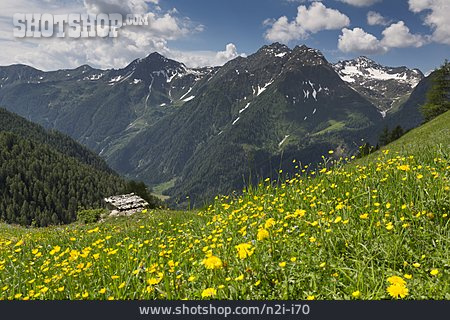 
                Alpen, Alm                   