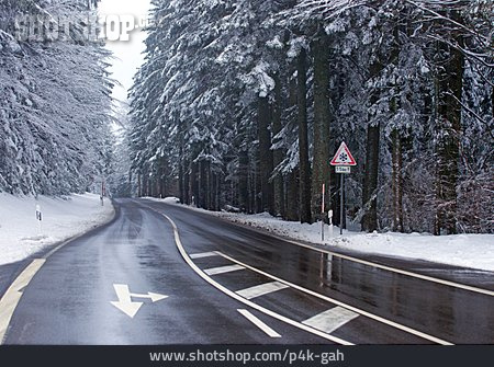 
                Winter, Road                   