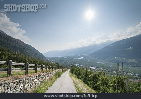 
                Weg, Südtirol, Vinschgau, Wirtschaftsweg                   