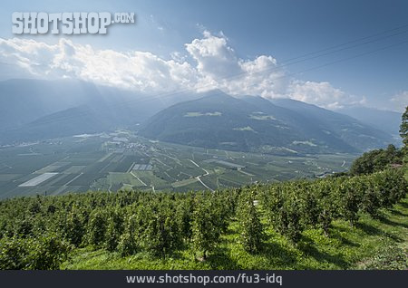 
                Aussicht, Südtirol, Vinschgau                   