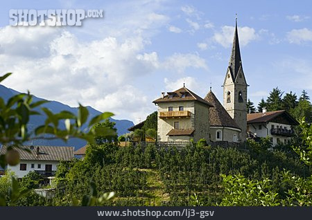 
                Südtirol, Apfelanbau, Georgen                   