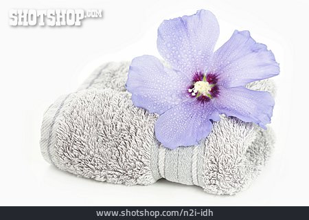 
                Handtuch, Hibiscusblüte                   