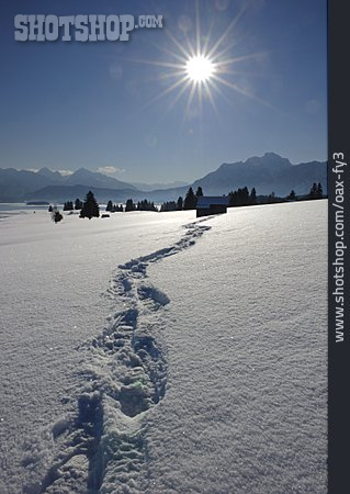 
                Winter, Snow Track, Winter Sun                   