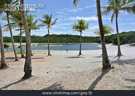 
                Strand, Brasilien, Lagune, Bahia                   