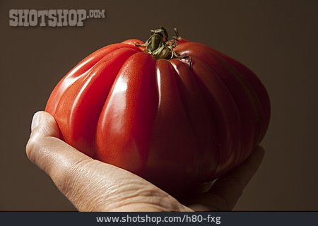 
                Tomate, Ochsenherztomate                   