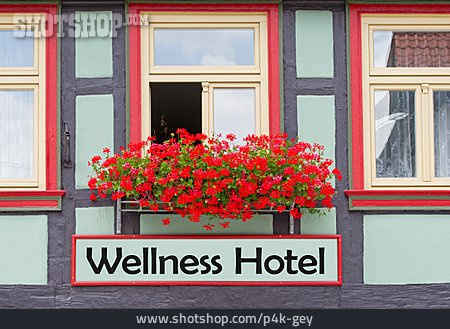 
                Wellness, Hotel, Wellnesshotel                   