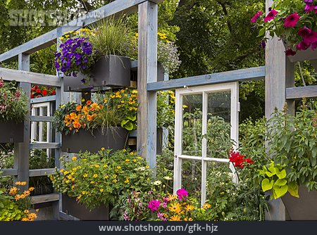 
                Garten, Blume, Blumenfenster, Gärtnerei                   