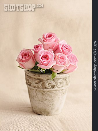 
                Rose, Blumenvase, Rosenstrauß                   