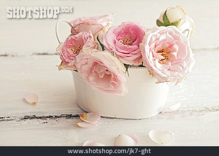 
                Rosenblüte, Blumendekoration                   