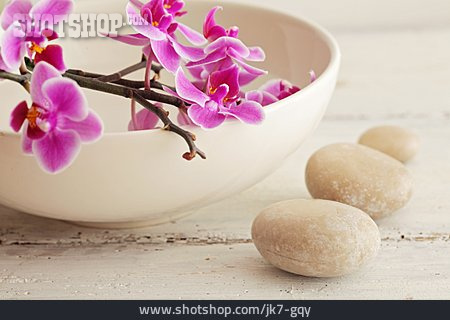 
                Wellness & Relax, Zen, Orchideenblüte                   