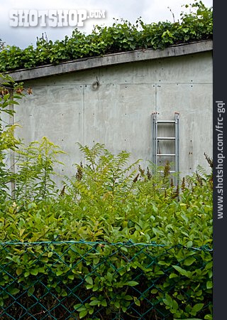 
                Hecke, Schrebergarten, Gartenlaube                   