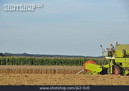 
                Landwirtschaft, Ernte, Getreideernte                   