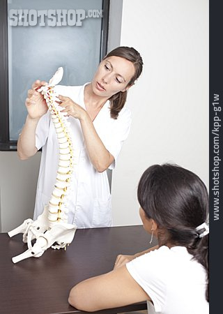 
                Human Spine, Orthopedics, Back Problems                   