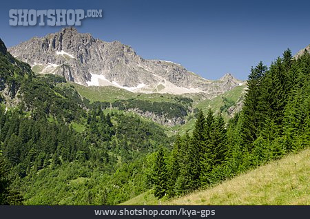 
                Tirol, Tannheimer Tal, Rauhorn                   