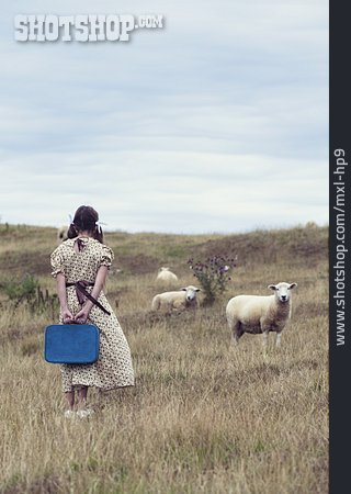 
                Girl, Rural Scene, Journey, Sheep-run, Travel                   