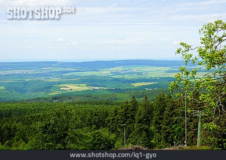 
                Mittelgebirge, Hunsrück, Haardtwald, Haardtkopf                   