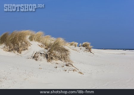 
                Düne, Sandstrand, Ostfriesland                   
