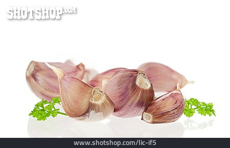 
                Knoblauch, Knoblauchzehe                   