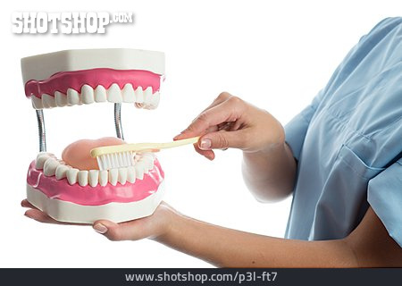 
                Zähne Putzen, Zahngesundheit                   