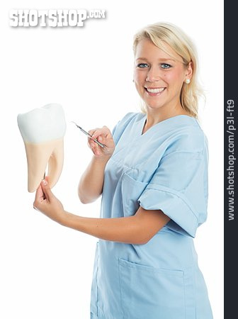 
                Zahnärztin, Zahnmodell, Zahngesundheit                   